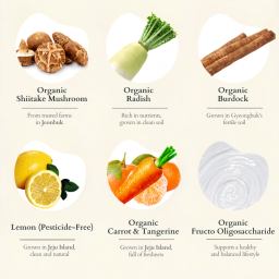 Illustration of the key organic ingredients used in the vegetable broth: radish, burdock root, shiitake mushroom, tangerine, lemon, and mixed vegetables.