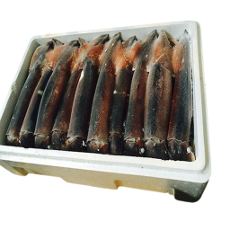 Squid -  polystyrene box