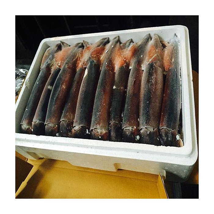 Squid -  polystyrene box