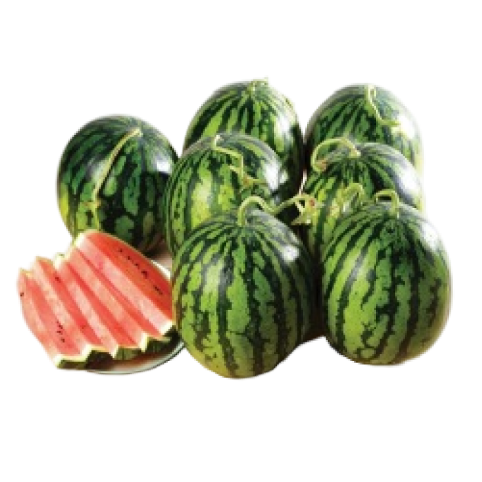 Korean Fresh Watermelon