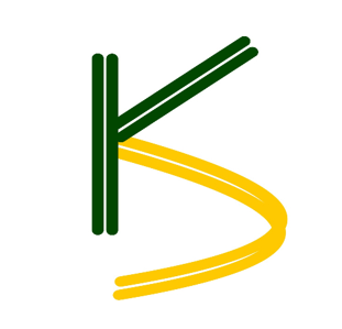 Company Name
