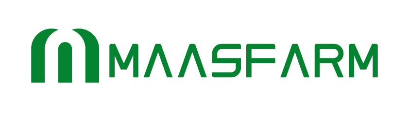 Company Name