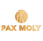 Company Name