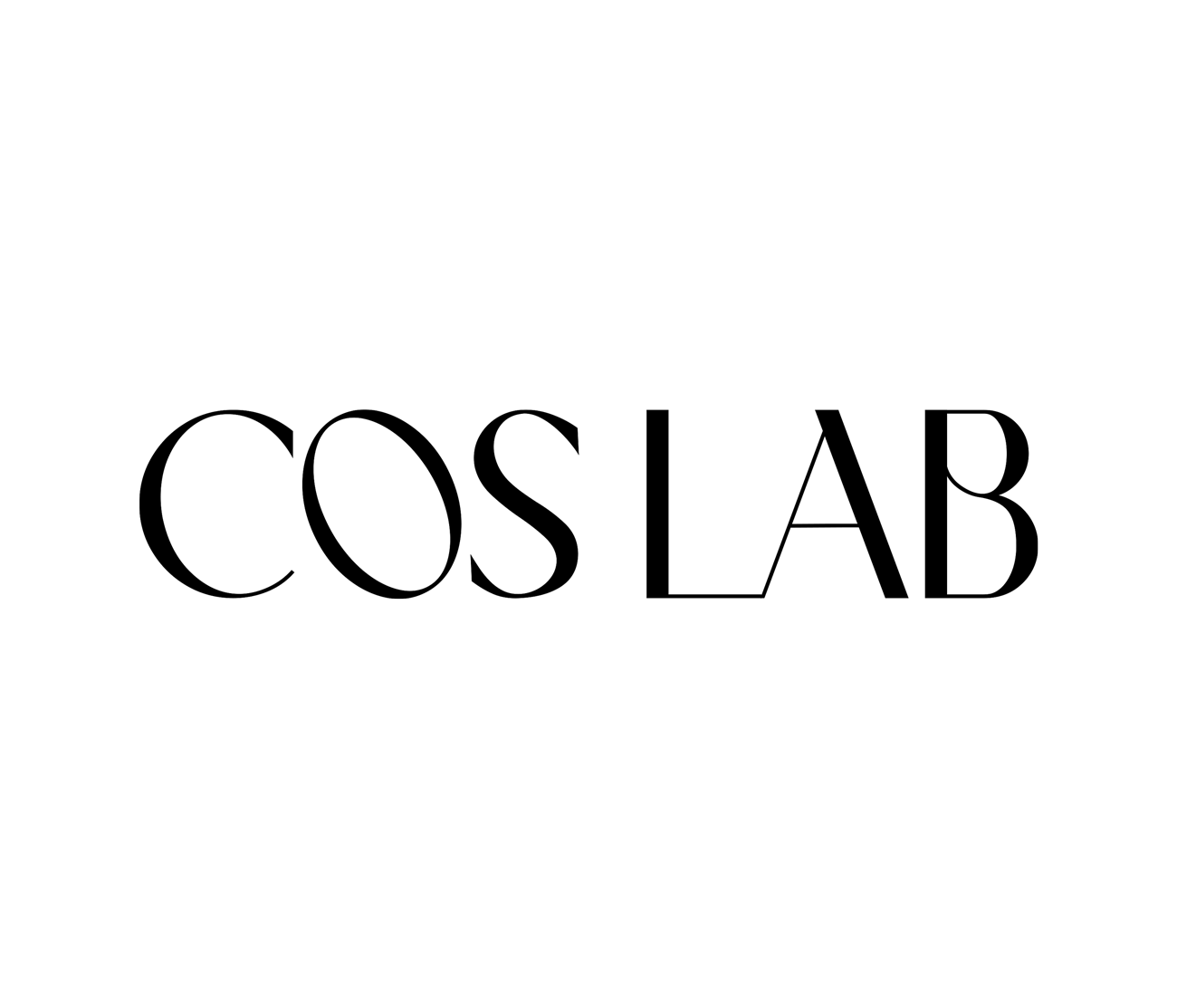 Company Name
