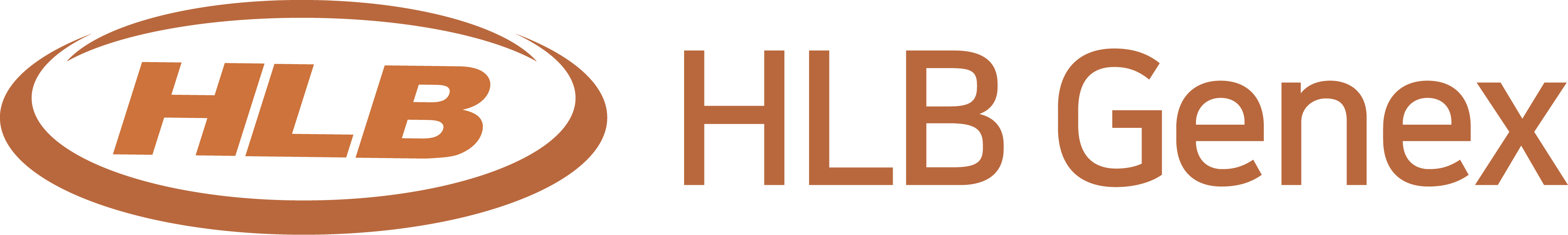 Company Name