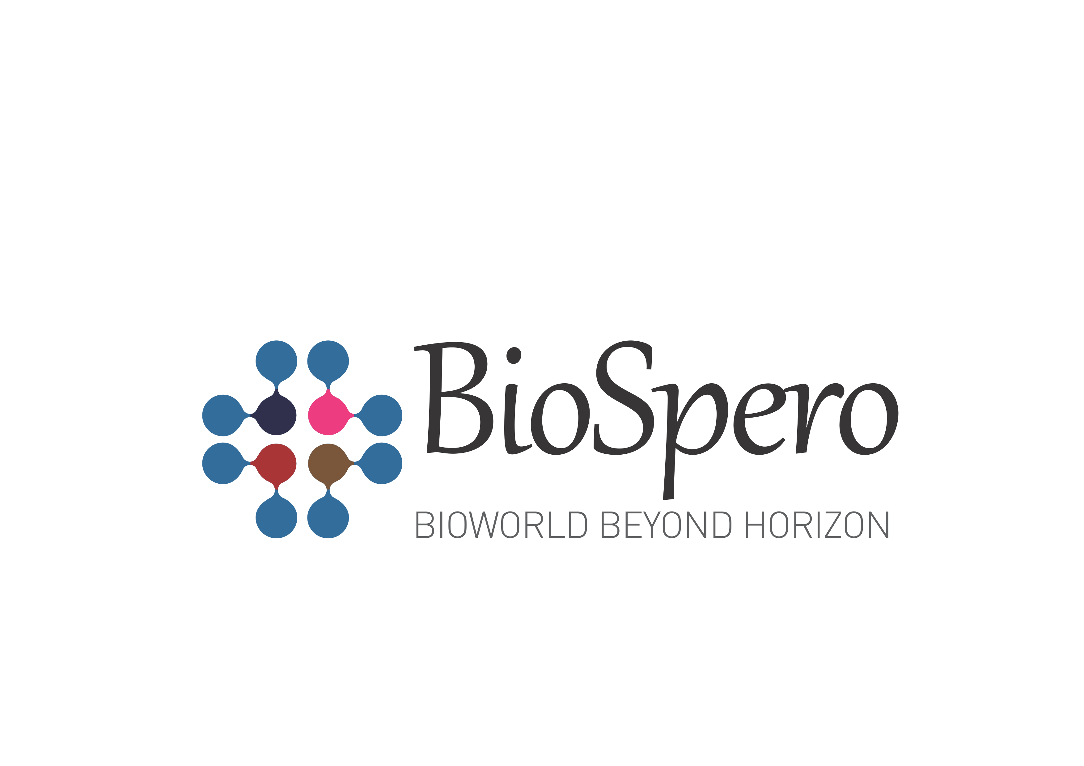 Company Name