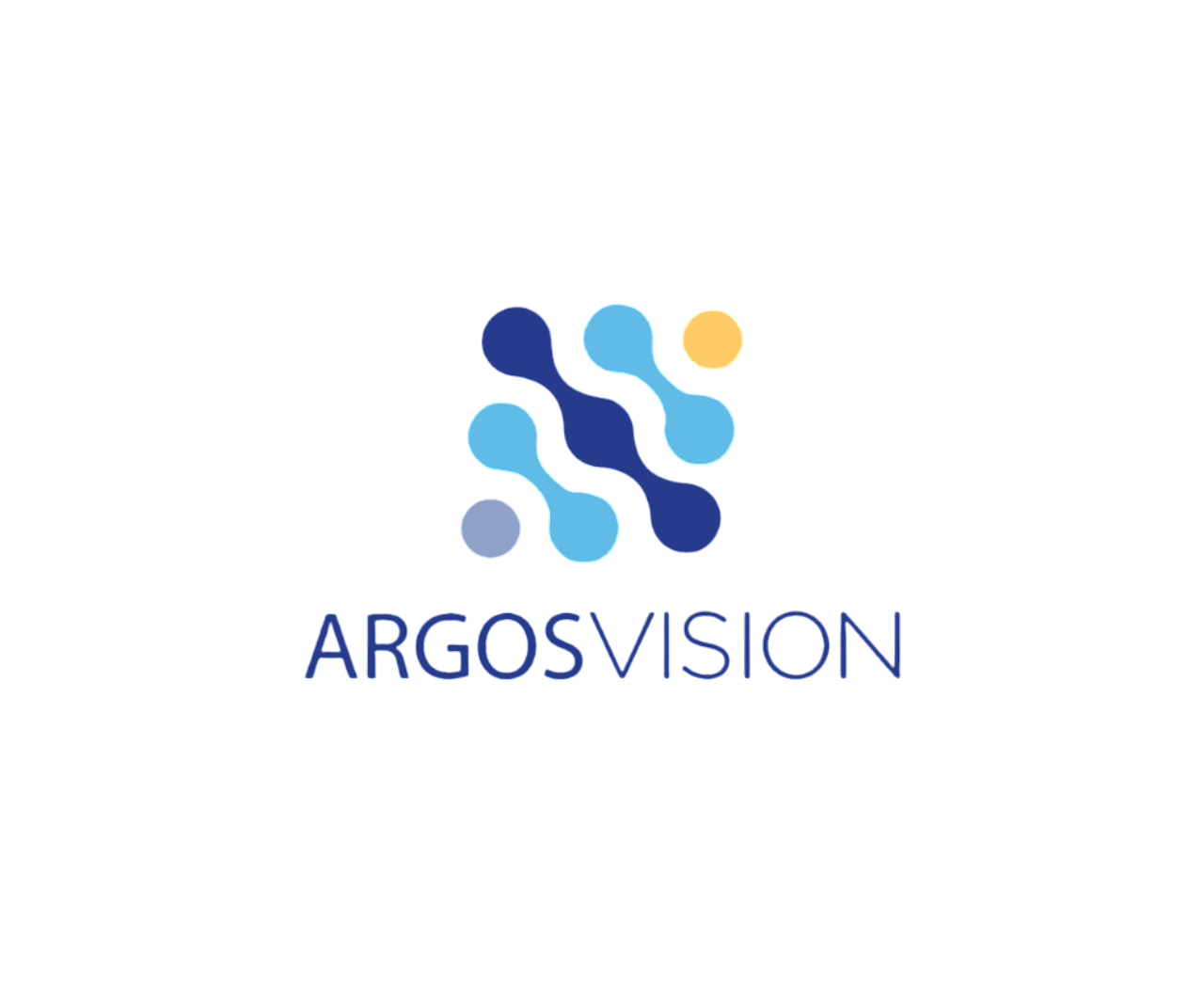 Company Name