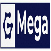 Company Name