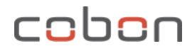 Company Name