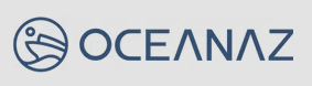 Company Name