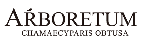 Company Name