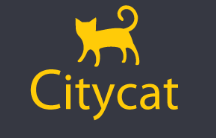 Company Name