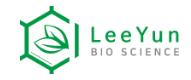 Company Name