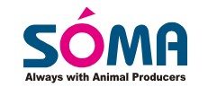 Company Name