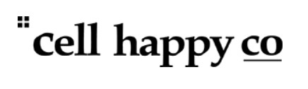Company Name