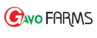Company Name