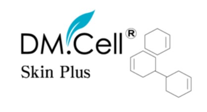 Company Name