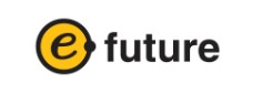 Company Name