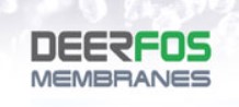 Company Name
