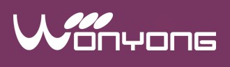 Company Name