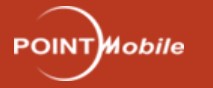 Company Name