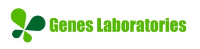 Company Name