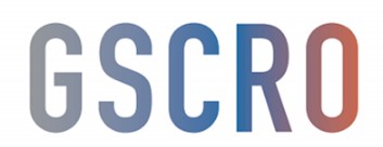 Company Name