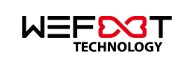 Company Name