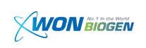 Company Name