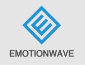 Company Name