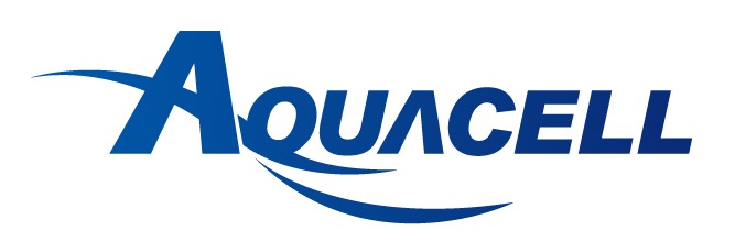 Company Name
