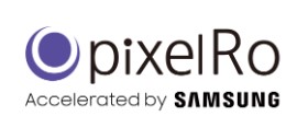 Company Name