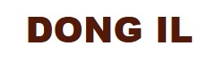 Company Name