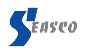 Company Name