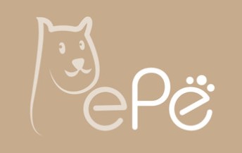 Company Name