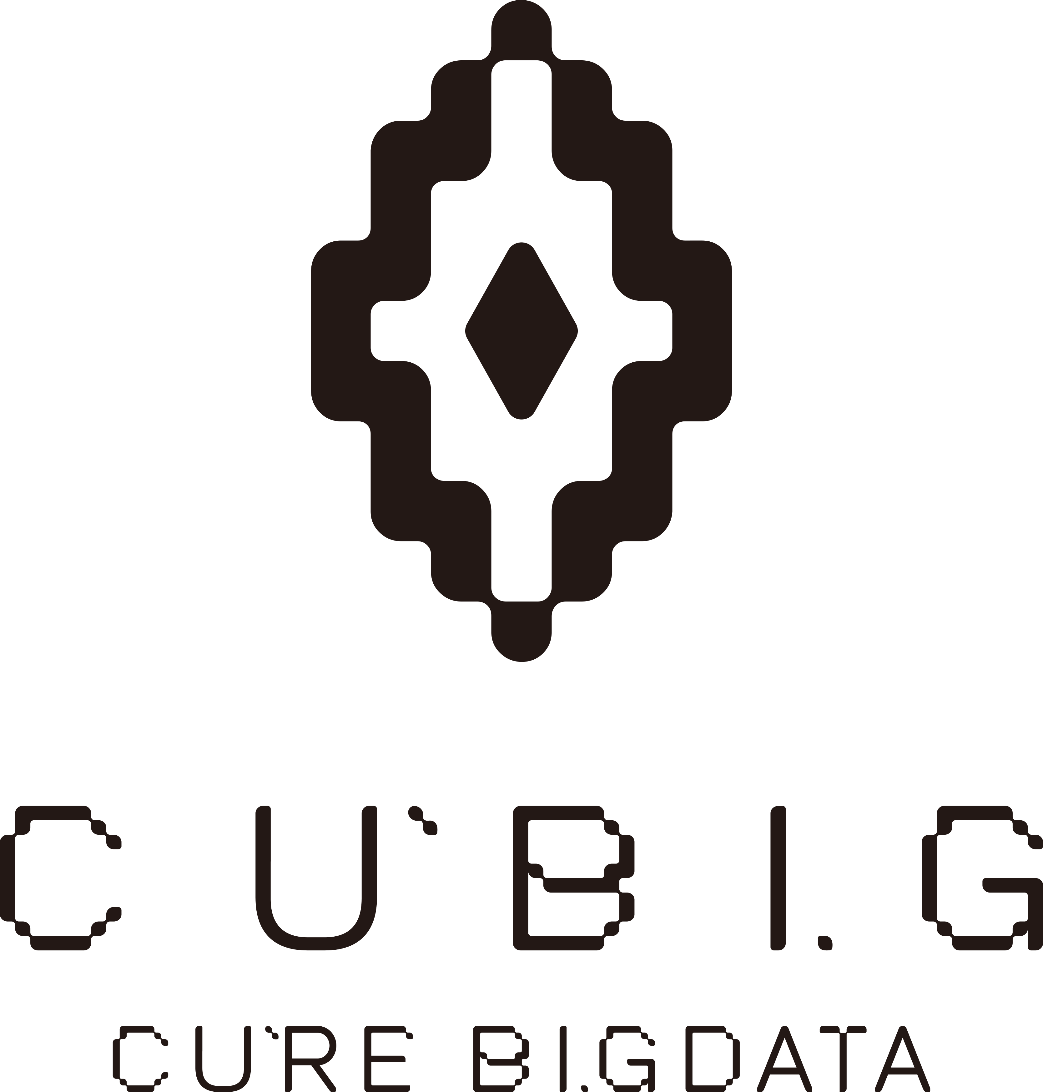 Company Name