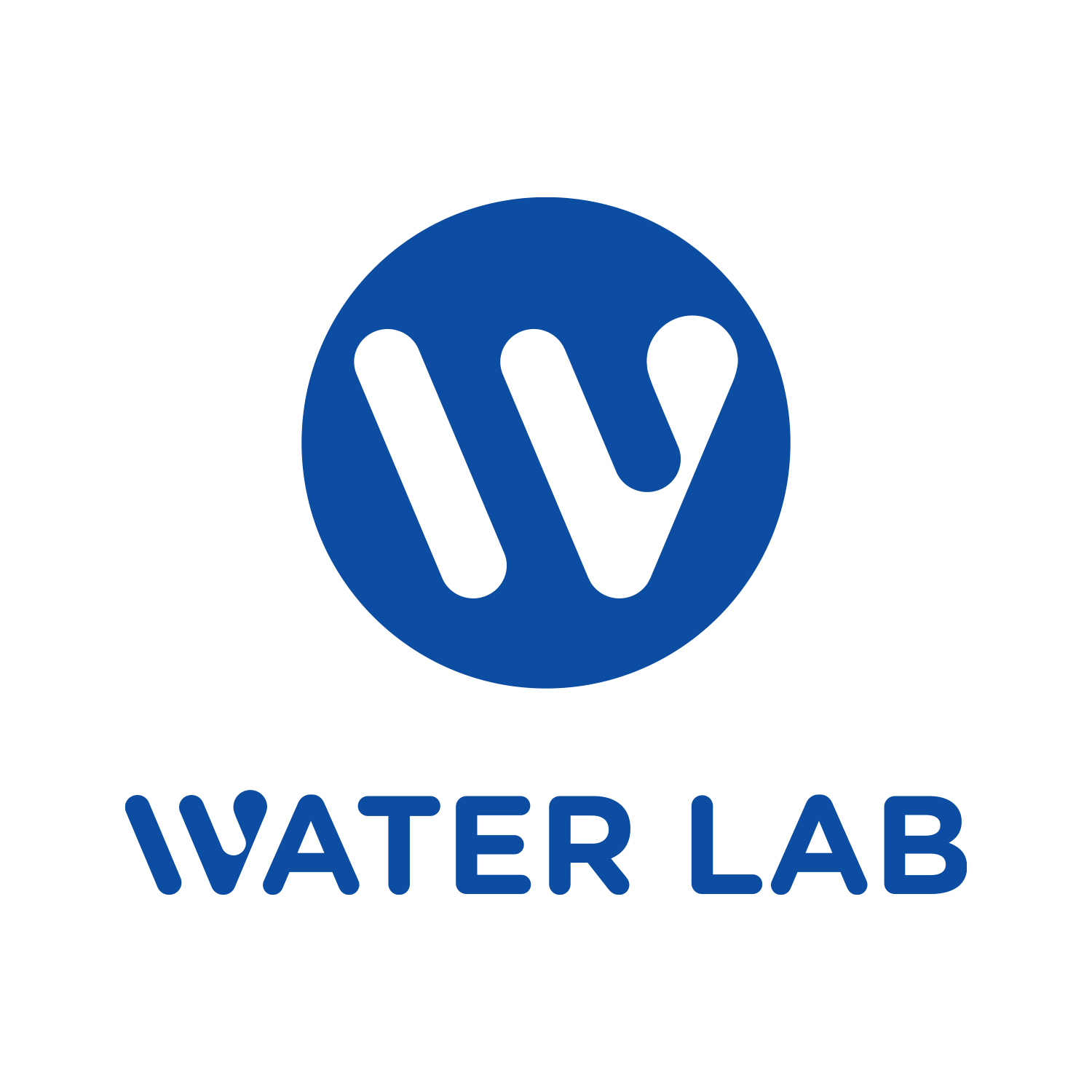 Company Name