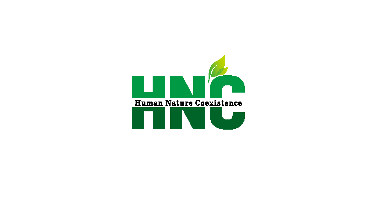 Company Name