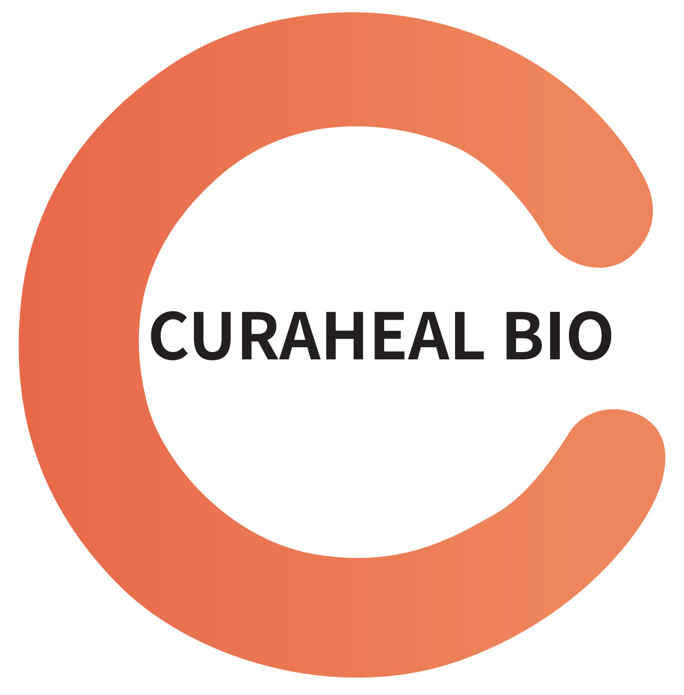 Company Name