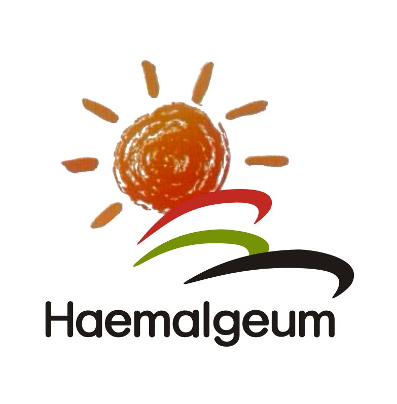 Company Name