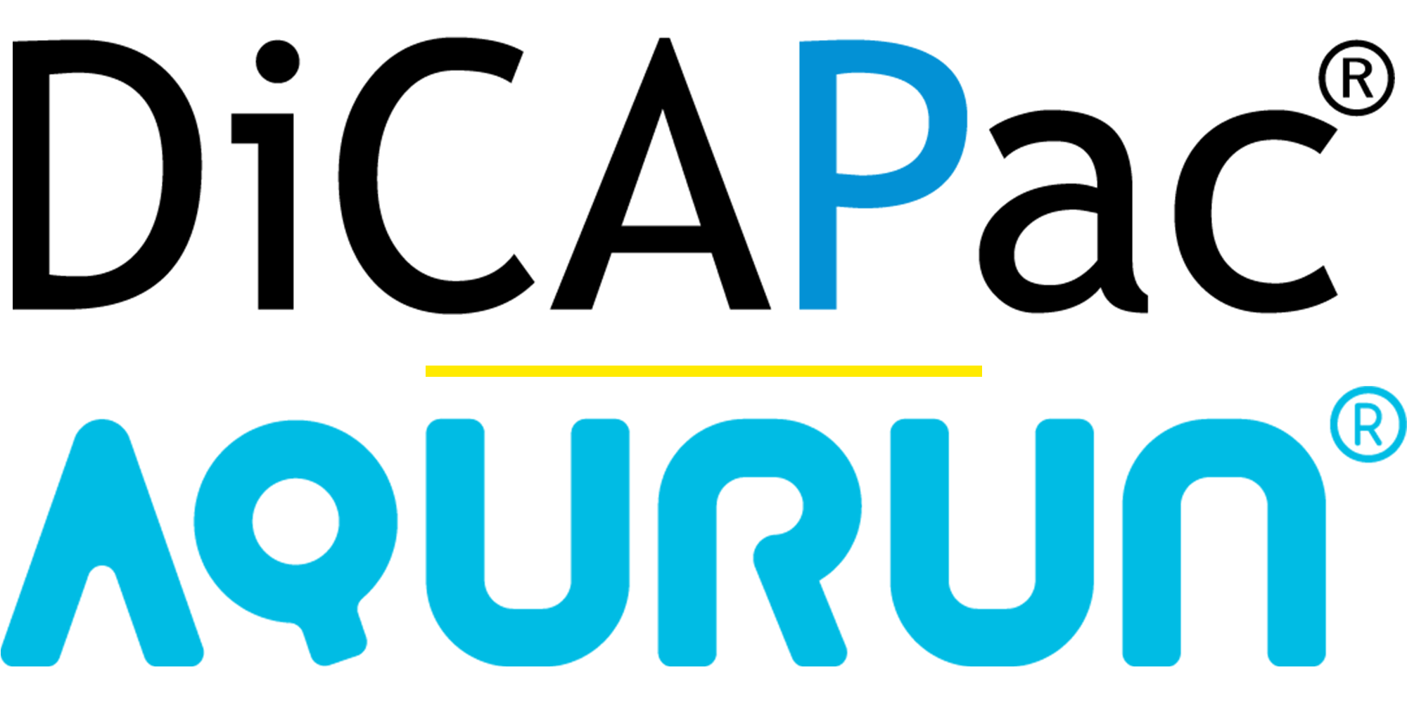 Company Name