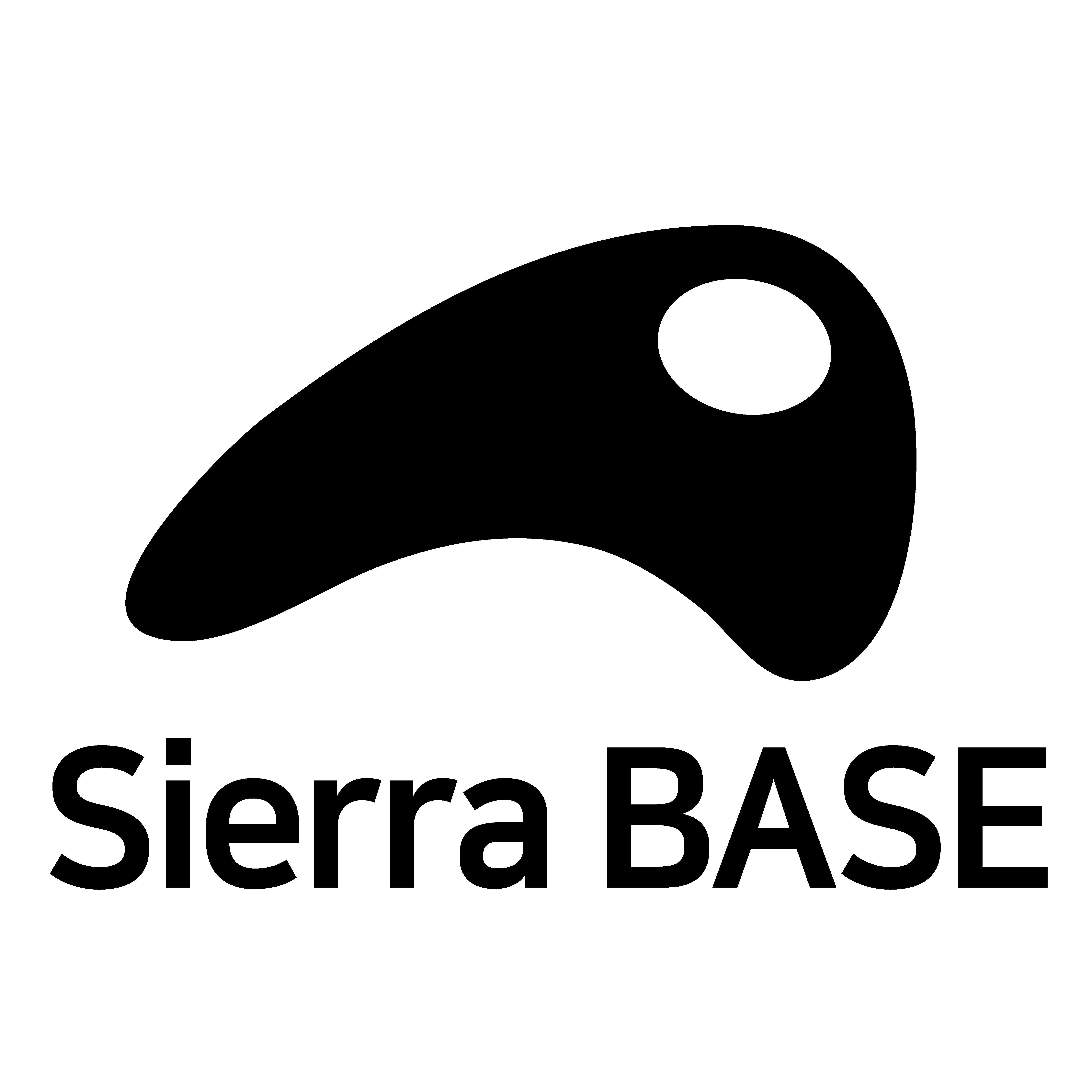 Company Name