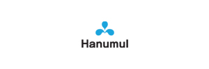 Company Name