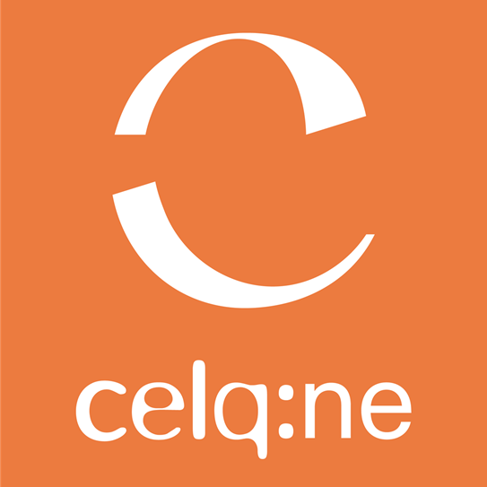 Company Name