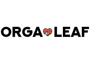 Company Name
