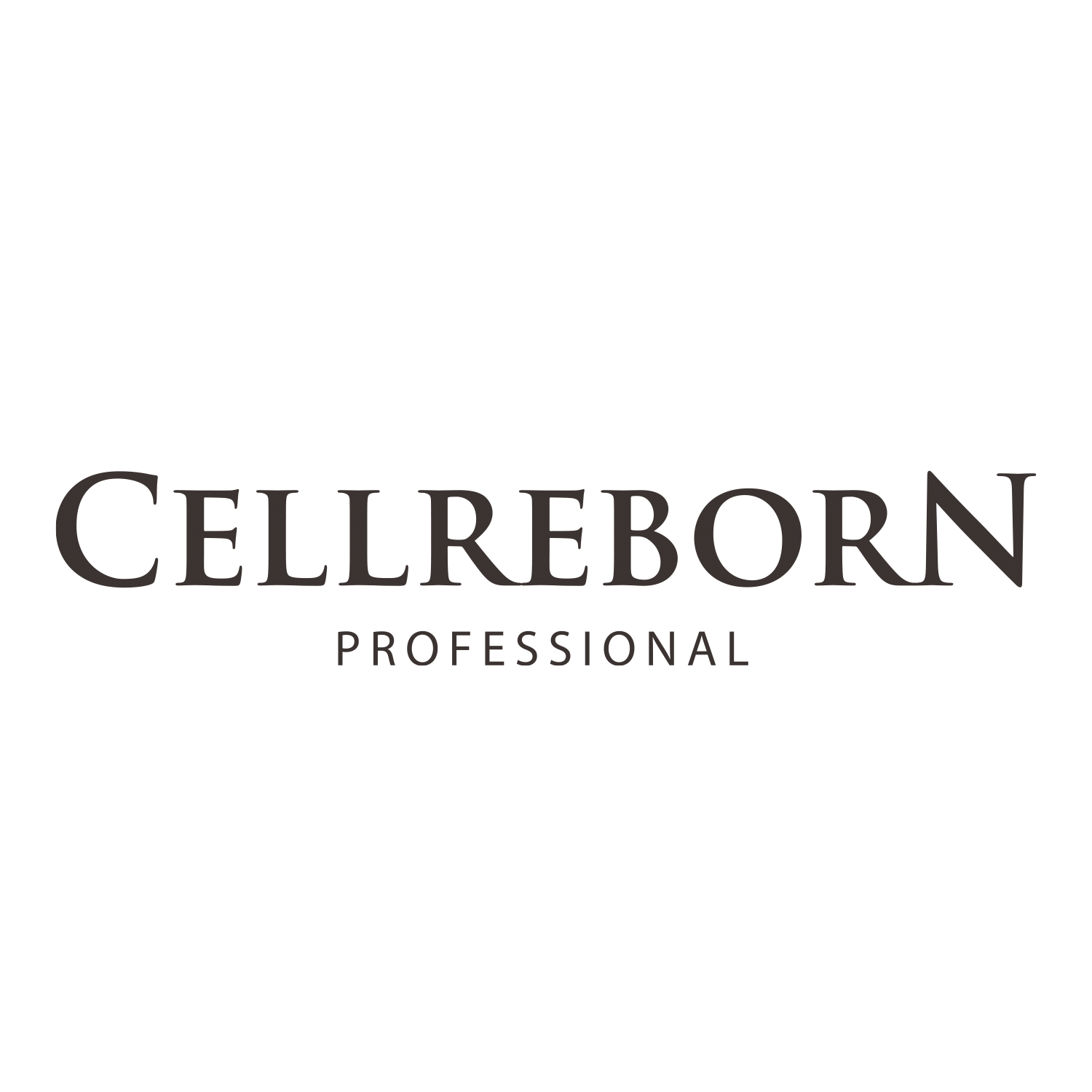 Company Name