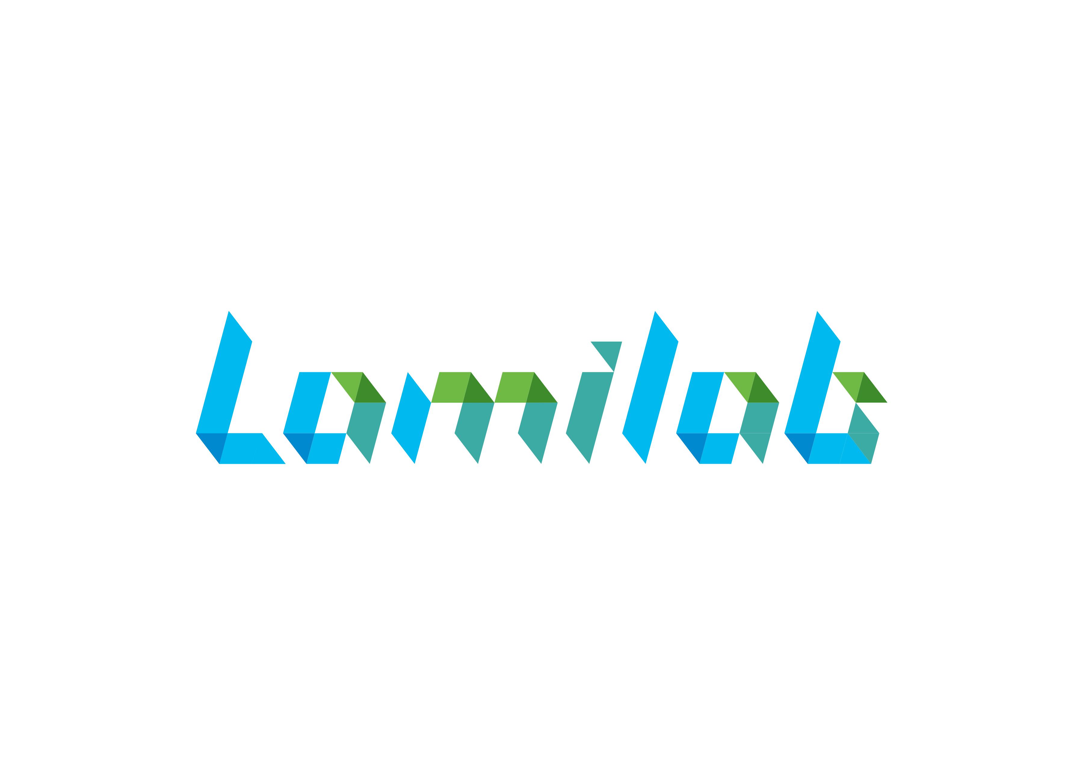 Company Name