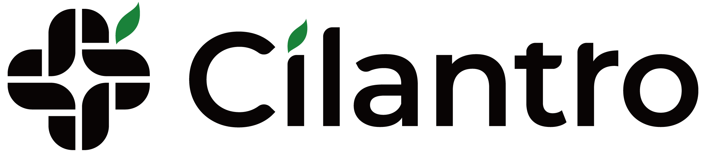 Company Name