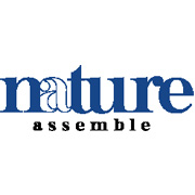 Company Name