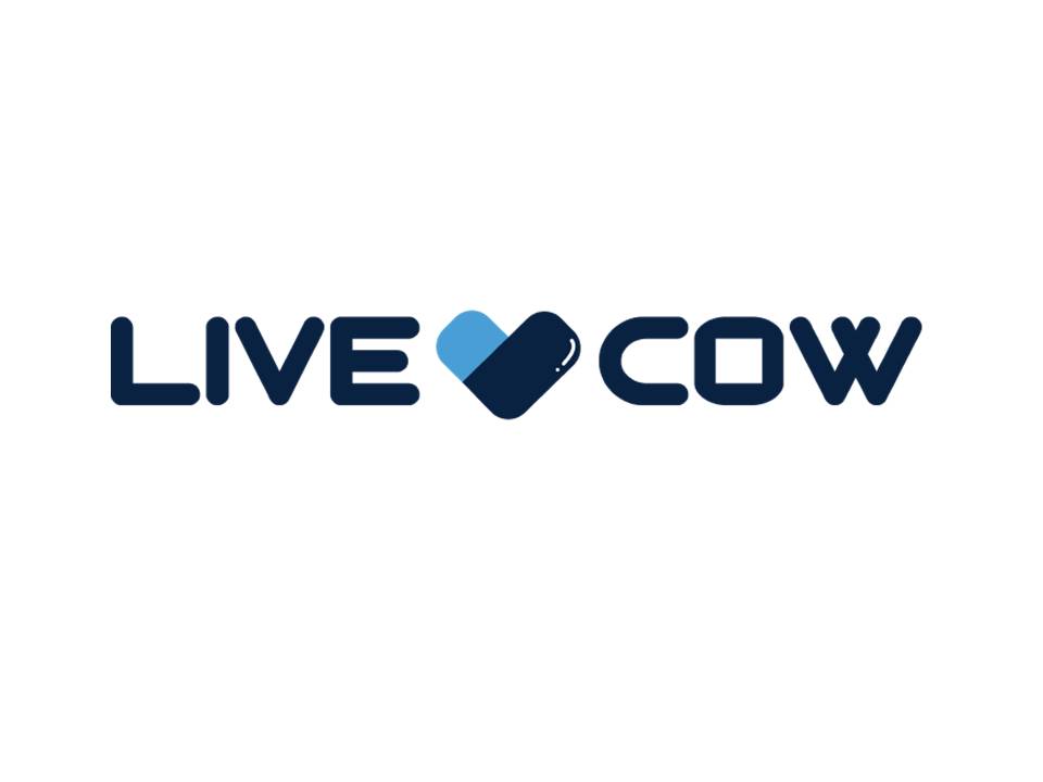 Company Name